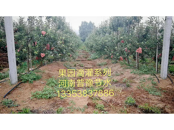 ι鿴ϸϢ